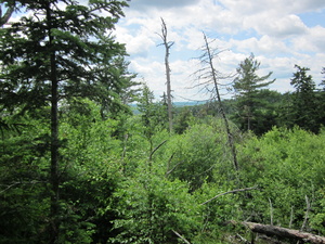 Appalachian Trail 