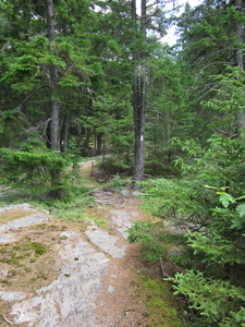 Appalachian Trail 