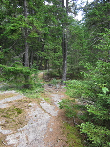 Appalachian Trail 