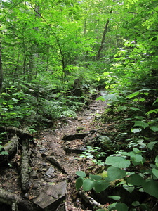 Appalachian Trail 