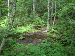 Appalachian Trail 