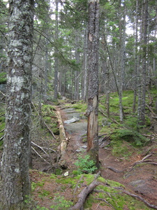 Appalachian Trail 