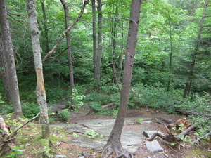 Appalachian Trail 