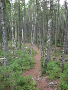 Appalachian Trail 