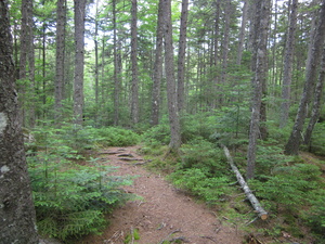 Appalachian Trail 