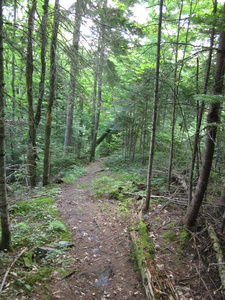 Appalachian Trail 