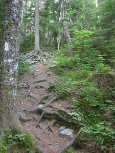 Appalachian Trail 