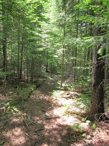 Appalachian Trail 