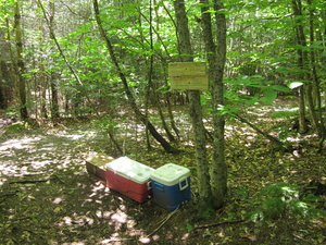 Appalachian Trail Trail Magic with beer at North Pond Road!