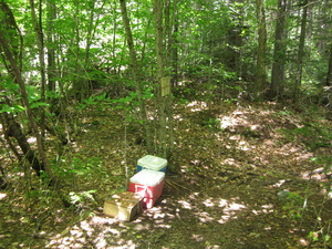 Appalachian Trail Trail Magic Coolers and cash box at North Pond Road