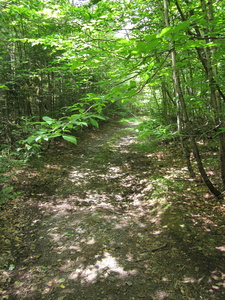 Appalachian Trail North Pond Road