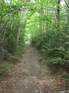 Appalachian Trail North Pond Road