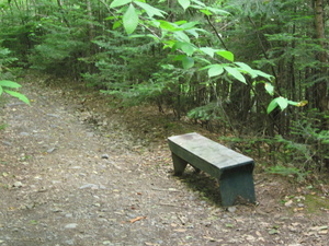 Appalachian Trail Bench at North Pond Road