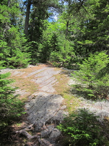 Appalachian Trail 