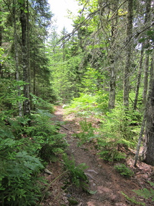 Appalachian Trail 