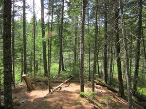 Appalachian Trail 