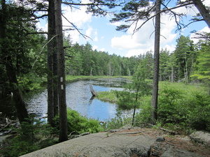 Appalachian Trail Beaver Pond