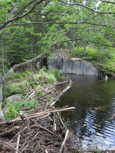 Appalachian Trail Beaver Pond Dam