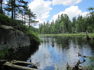 Appalachian Trail Beaver Pond