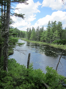 Appalachian Trail Beaver Pond