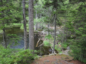 Appalachian Trail North Pond