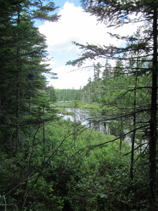 Appalachian Trail North Pond