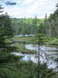 Appalachian Trail North Pond