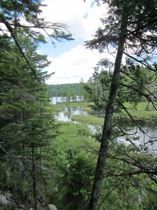 Appalachian Trail North Pond