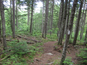 Appalachian Trail 