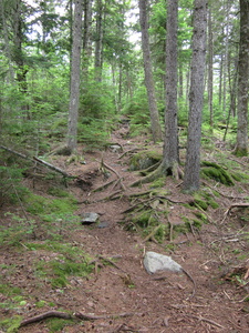 Appalachian Trail 