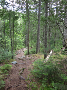 Appalachian Trail 