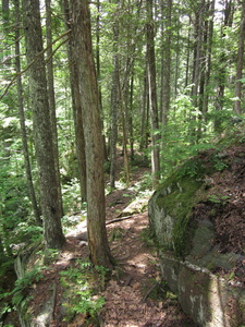 Appalachian Trail 