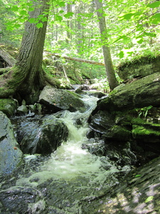 Appalachian Trail 