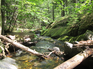 Appalachian Trail 