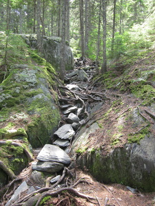 Appalachian Trail 