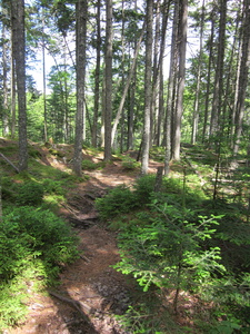 Appalachian Trail 