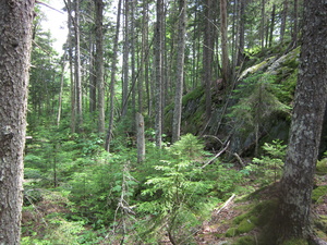 Appalachian Trail 