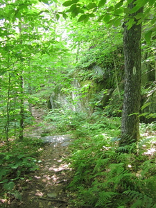 Appalachian Trail 