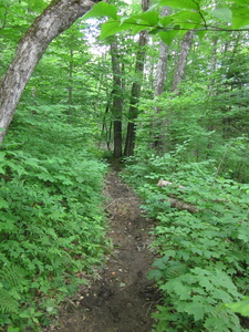 Appalachian Trail 