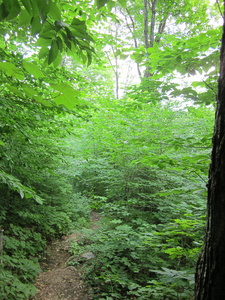 Appalachian Trail 