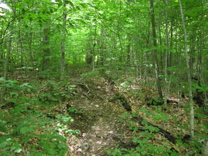 Appalachian Trail 