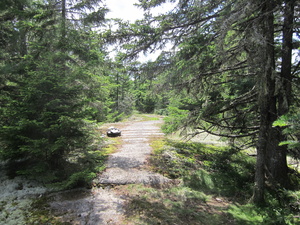 Appalachian Trail 