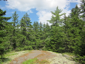 Appalachian Trail 