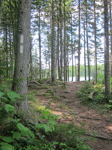 Appalachian Trail Bell Pond