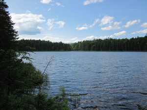 Appalachian Trail Bell Pond