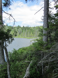 Appalachian Trail Bell Pond