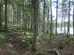 Appalachian Trail Bell Pond