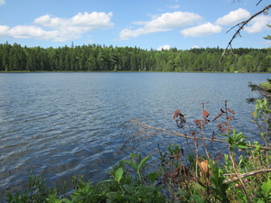 Appalachian Trail Bell Pond