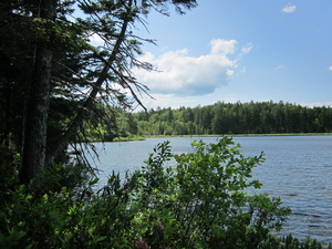 Appalachian Trail Bell Pond