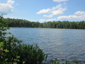 Appalachian Trail Bell Pond